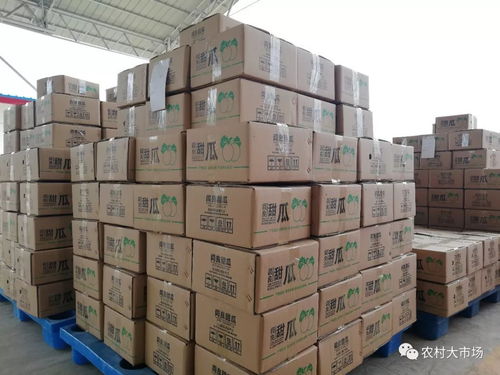 明日剧透 农产品供应链连起小农户和大市场